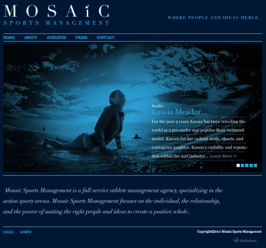 Mosaic Management